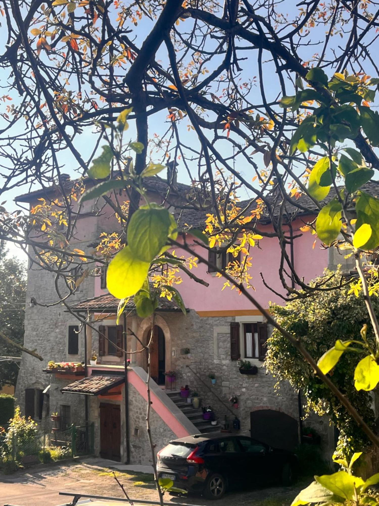 B&B Camelia Camugnano Exterior photo